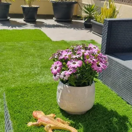La Zenia Sabrina Apartment 5 *